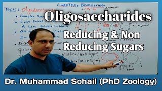 OligosaccharidesCarbohydratesReducing and non Reducing Sugars [upl. by Atnim]