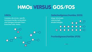 What you need to know about Human Milk Oligosaccharides HMOs [upl. by Eardna]