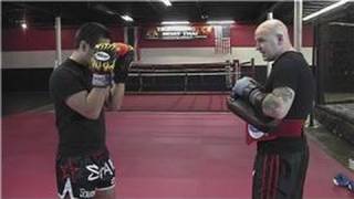 Kickboxing Training  Basic Kickboxing Techniques [upl. by Emerej]