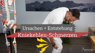 Kniekehlenschmerz  Entstehung und die wahren Ursachen [upl. by Koehler]