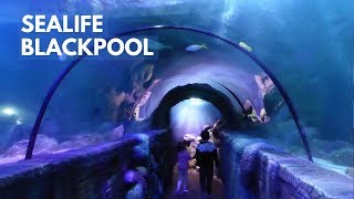 SEA LIFE Blackpool FULL TOUR [upl. by Rossy]