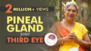 Take Care of your Pineal Gland by doing this  Dr Hansaji Yogendra [upl. by Johathan]