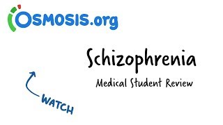 Schizophrenia Overview  Clinical Presentation [upl. by Ecraep]