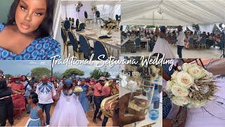 Traditional Setswana Wedding 💍💙  South African Traditional Wedding  My Aunts Big Day 🐄 [upl. by Harifaz]