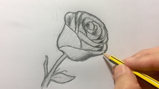 Cómo dibujar una rosa paso a paso [upl. by Amitie]