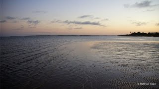 Visiting Yirrkala in Arnhem Land  Behind the News [upl. by Tohcnarf]