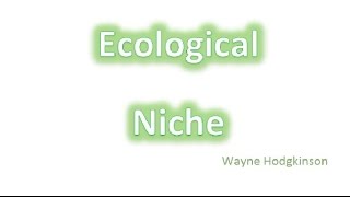 Ecological niche  fundamental amp realised [upl. by Gyasi]