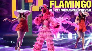 The Masked Singer Flamingo All Clues Performances amp Reveal [upl. by Odrautse]