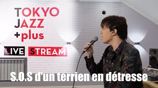 Dimash  SOS Dun Terrien En Détresse  Tokyo Jazz Festival 2020 [upl. by Karita]