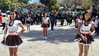 Pellicer Marching Band 💚 [upl. by Atteloj]