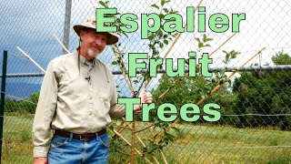 How to Espalier Fruit Trees [upl. by Zemaj]