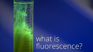 What is Fluorescence [upl. by Alfred]