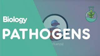 What Are Pathogens  Health  Biology  FuseSchool [upl. by Vey797]