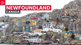 Canada Road Trip Best Things To Do In Newfoundland [upl. by Shelby]