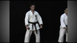 shotokan 8 basic techniques [upl. by Kingsly]