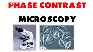 Phase contrast microscopy [upl. by Kneeland]