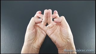 Crown Chakra Mandala Sahasrara Mudra Variations Tutorial  Three Vajras [upl. by Onifur]