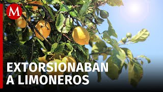 En Apatzingán Michoacán caen dos presuntos extorsionadores de limoneros [upl. by Nodababus]