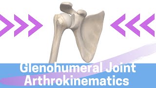 Shoulder Kinesiology Glenohumeral Joint Movement [upl. by Animor]