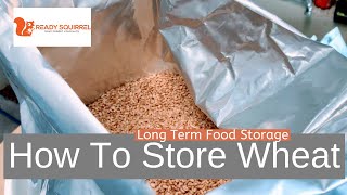 How To Store Wheat LongTerm Food Storage [upl. by Auqinom]