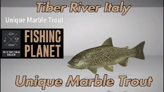 Unique Marble Trout  Tiber River Italy  Fishing Planet Guide [upl. by Niran]