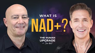 NAD A Quantum Leap in Biohacking  1122  Dave Asprey [upl. by Shaw]