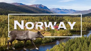 TOP 10 Best Places to Visit in Norway  The ULTIMATE Norway Travel Guide Video [upl. by Enyrat196]