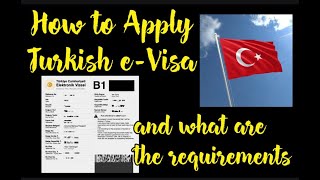 How to apply Turkish eVisa and everything you need to know  Turkish Visa  Requirements [upl. by Ailssa]