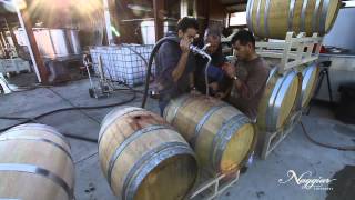 Vine to Wine Winemaking at Naggiar Vineyards [upl. by Royo]