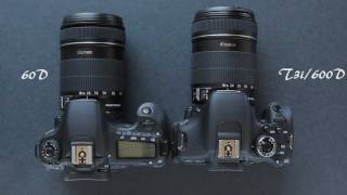 Canon 60D vs Canon T3i600D Comparison [upl. by Valma]