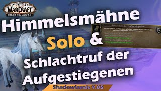 WoW Shadowlands  Aufgestiegene Himmelsmähne Mount Guide Solo Schlachtruf der Aufgestiegenen Erfolg [upl. by Ahsinhoj]