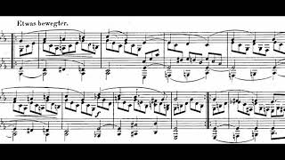 Schumann  Drei Fantasiestücke Op111 [upl. by Dukie]