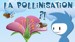 La pollinisation explication 12 [upl. by Goldston40]