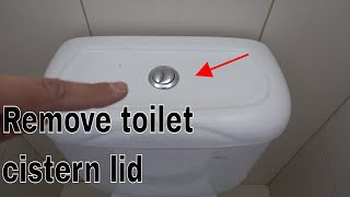 How to remove toilet cistern lid  Dual flush buttons [upl. by Aneeg]