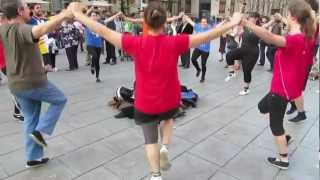 La Sardana  Danza en las calles de Barcelona [upl. by Yereffej]