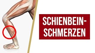 Schienbeinschmerzen  Übungen  Tipps von Liebscher amp Bracht  Faszienrolle Engpaassdehnungen [upl. by Anua241]