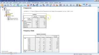 Betrouwbaarheidsinterval met SPSS [upl. by Chiou]