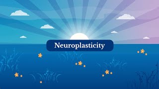 Neuroplasticity and DNRS [upl. by Grani]