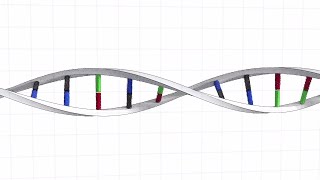 Building a human genome from scratch [upl. by Tiphani203]