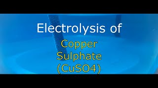 Electrolysis of Copper SulphateCuSO4Chemistry Practicals [upl. by Hulburt]