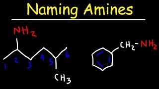 Naming Amines  IUPAC Nomenclature amp Common Names [upl. by Arrad]