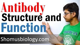 Antibody structure and function [upl. by Towne]