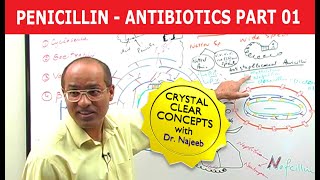 Penicillin  Antibiotics  Dr Najeeb  Part 14 [upl. by Ellekram]