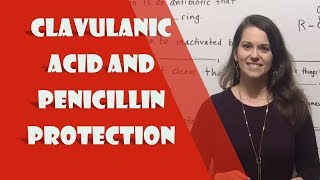 Clavulanic Acid Clavulanate and Penicillin Protection [upl. by Ellesij]