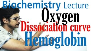 Oxygen hemoglobin dissociation curve explained [upl. by Secrest]