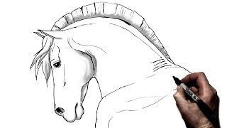 How To Draw A Horse  Step by Step  Side View [upl. by Ahsuatal]