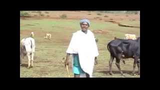 Best Gojjam Song of the Year 2011 solomon Demissie [upl. by Onitsuaf]