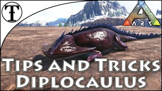 Fast Diplocaulus Taming Guide  Ark  Survival Evolved [upl. by Grant633]