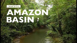 What is the Amazon Basin [upl. by Ayisan383]