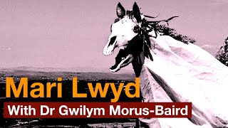 Mari Lwyd  The Welsh Sources and Meaning [upl. by Aitnuahs]